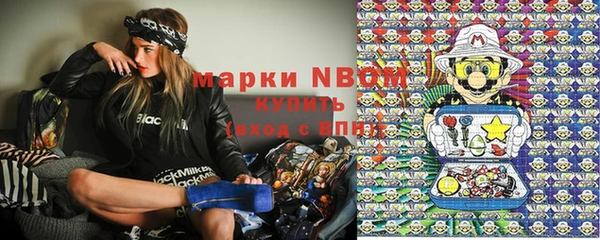 шишки Алексин