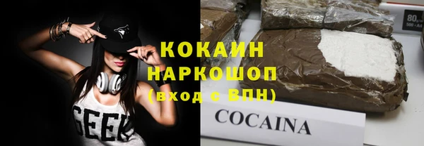 шишки Алексин