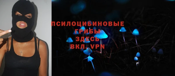 шишки Алексин