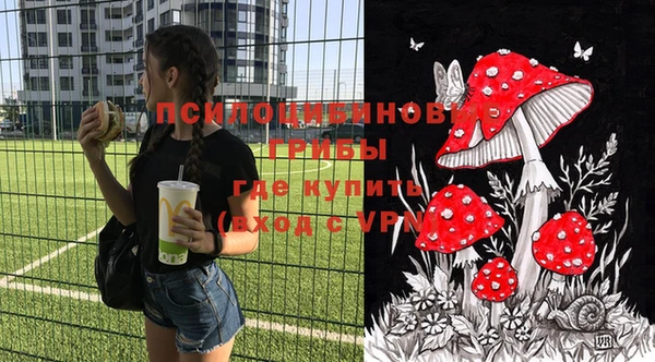 шишки Алексин